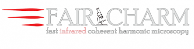 logo FAIR CHARM logo FAIR CHARM